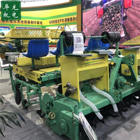 辣椒栽苗机辣椒栽苗机厂家河东辣椒栽苗机