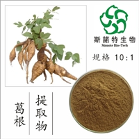 葛根提取物 葛根黄酮40%葛根素 30%98% 斯诺特