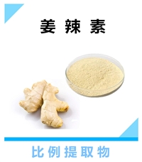 姜辣素 姜粉 沃特莱斯生物10:1 20:1提取物 原料粉