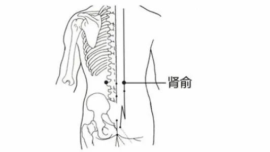 腰椎艾灸哪个位置图片图片