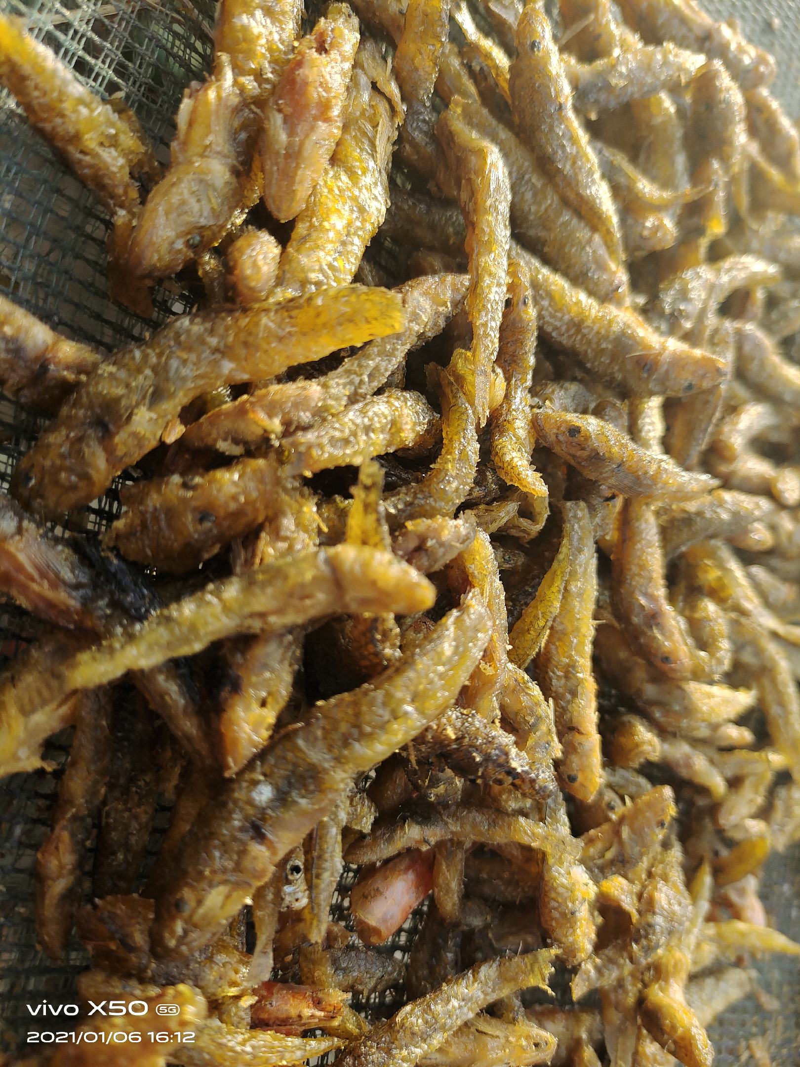 东北油炸山根鱼产地销售火焙鱼小黄鱼干货厂家淡水无盐山坑鱼干加工