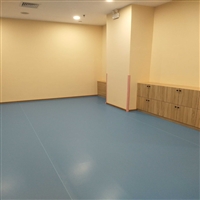 养老院塑胶地板公寓地胶