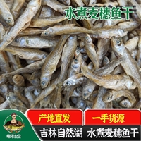 大量求购小黄鱼、麦穗鱼、山根鱼、船丁子鱼、老头鱼、小鲫鱼