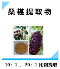 桑椹提取物 桑椹果粉 速溶粉花青素 多糖 沃特莱斯生物食品级原料