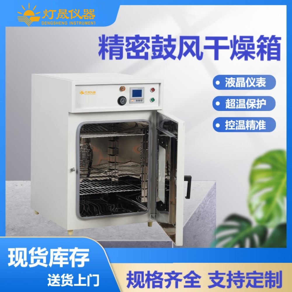 精密鼓风干燥箱