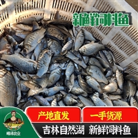 水产养殖鳜鱼饲料鱼批发，桂鱼饲料多钱一吨，求购鳜鱼冻板饲料鱼价格