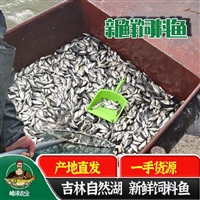 江西黄鳝养殖户专用饲料鱼，黄鳝冷冻水产饲料鱼 厂家销售2800/吨