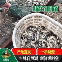 大量供应养殖黄鳝饲料鱼，长年批发喂养黄鳝饲料鱼，冷冻饲料鱼冷库直发3000/吨