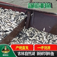 水产养殖饲料鱼产地批发，黄鳝养殖基地专用饲料鱼，喂养黄鳝速冻饲料小鲫鱼