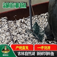 吉林省生产饲料鱼厂家，冷冻饲料鲫鱼加工3000元/吨，厂家销售冷冻黄鳝饲料