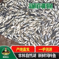 长期供应各种冷冻饲料鱼，速冻饲料小鲫鱼厂家，厂家供应冷冻饲料鱼2800元/吨