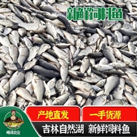 养殖黄鳝冷冻饲料鱼批发，大量供应喂黄鳝小杂鱼，冷冻黄鳝饲料鱼2800元/吨