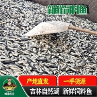 长年批发养殖黄鳝饲料鱼，喂黄鳝冷冻饲料鱼产地货源，养殖黄鳝饲料2800/吨
