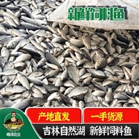 广西省生产冻板饲料鱼，南宁冻板饲料小鱼价格，北海冷冻饲料鱼多钱一吨