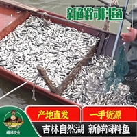 黑鱼饲料批发价格，黑鱼饲料多钱一吨，喂黑鱼冷冻饲料鱼厂家