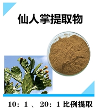 仙人掌提取物 原粉 速溶粉10：1提取