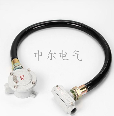 加油站制药厂隔爆挠性管1/2 3/4 DN15DN20防爆穿线管4分6分1寸2寸