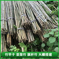 菜架竹 4米-5米小竹竿 竹竿抗弯度强