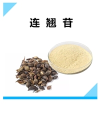 连翘苷 连翘粉 连翘提取物 10:1原料粉