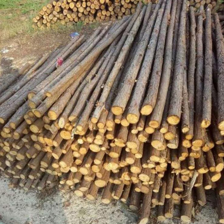 杉木杆6米杉木原木杆杉木杆定制切割厂