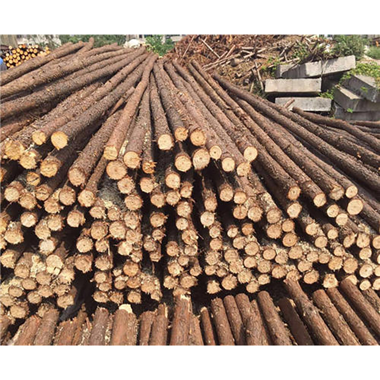 杉木杆6米杉木原木杆杉木杆定制切割厂