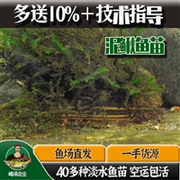 丰镇市四大家鱼苗批发 乌兰浩特市花白鲢苗批发 二连浩特鲫鱼鱼苗批发