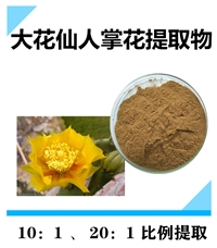 大花仙人掌花提取物 沃特莱斯生物10:1原料粉