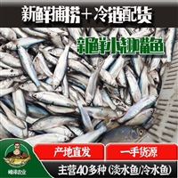 冰鲜小白条鱼大量批发，冷冻小白条鱼批发价格，小白条鱼多钱一斤