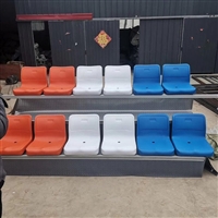  永泰供应体育定做 报告厅 电动伸缩看台座椅 可定制尺寸