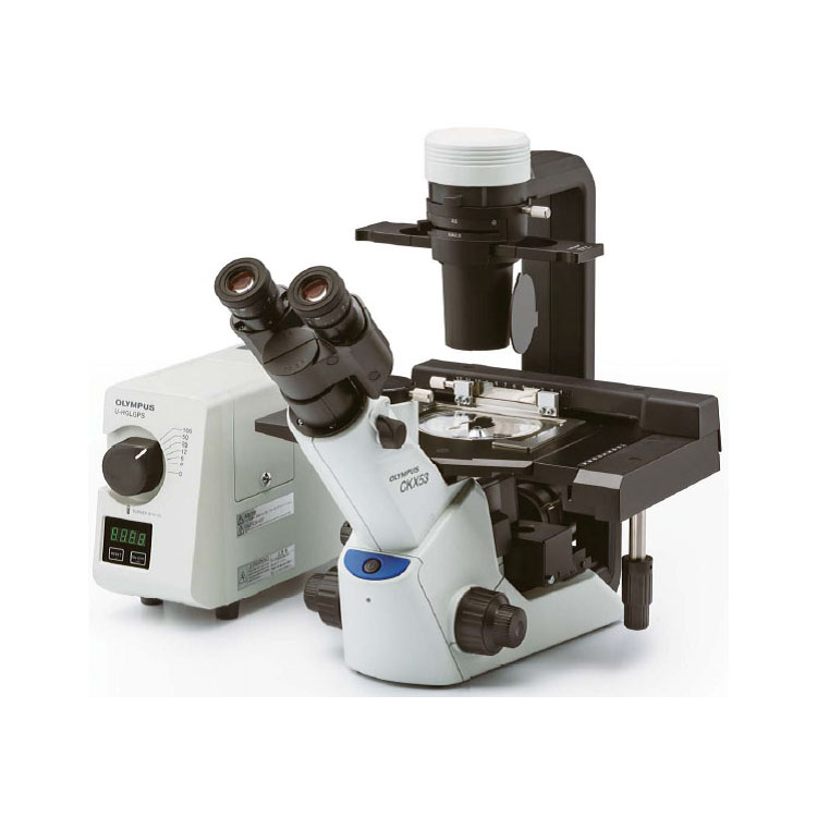 日本奥林巴斯ckx53倒置荧光显微镜