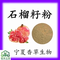 石榴籽粉80-120目 石榴子粉  石榴子提取物  石榴籽提取物