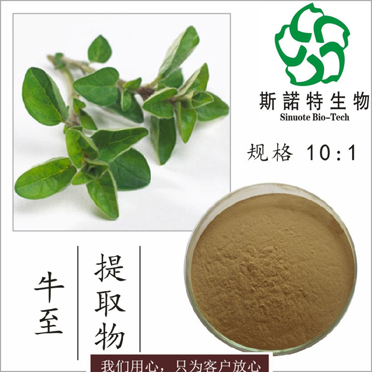 牛至粉出口级牛至提取物2030可按要求定制斯诺特生物