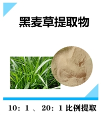 黑麦草提取物 沃特莱斯生物 10:1 20:1原料粉