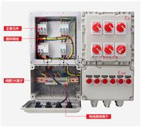 华荣同款ExdIIBT4/IICT6防爆照明动力配电柜ip54ip65 中石化隔爆箱