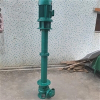 制药厂液下式排污泵 惠沃德YW300-800-12-45立式铸铁无堵塞排污泵