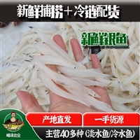 冷冻银鱼批发 速冻银鱼加工厂家 789公分小银鱼供应