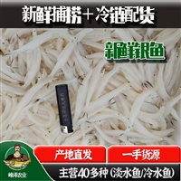 自然湖银鱼产地批发 大银鱼采购价格 银鱼批发市场