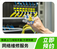 清远网络综合布线/维护 监控安装 IT服务外包