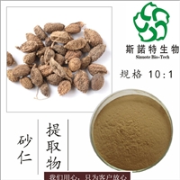 砂仁提取物 斯诺特 可定制  砂仁浓缩粉 速溶粉 80目