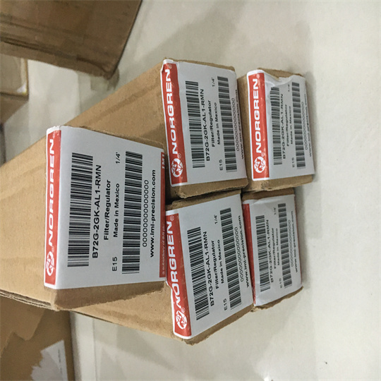 RT/57232/M/100双作用气缸