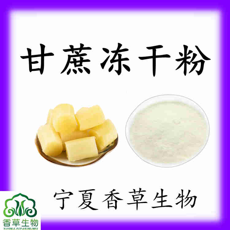 甘蔗粉速溶甘蔗粉甘蔗提取物膳食纤维