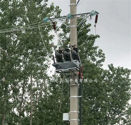 西安zw32-40.5户外高压真空断路器