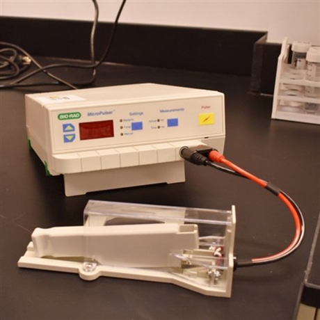 美国伯乐1652100电转化仪价格