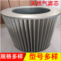 煤油行业专用 PPEF-1378天然气滤芯 网格加固 