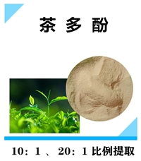 茶多酚 绿茶提取物10:1 50%-98%提取 原料粉