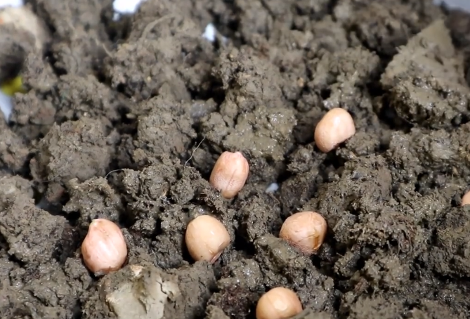 种植土ec值检测 土壤质地检测 土壤氮磷钾检测