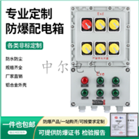 BXMD51防爆照明动力箱 碳钢配电柜IIB、IIC、Ex tD成套控制箱