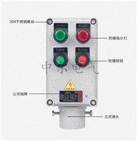 三防配电箱BZC8050-A2D2B1K1G防爆防腐操作柱AC380V/10A远程控制箱