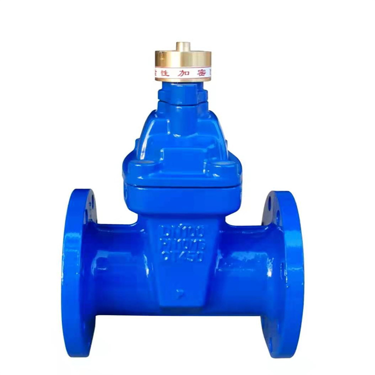 加密闸阀磁性防盗法兰闸阀水表前钥匙加密闸阀dn100