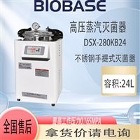 申安DSX-280KB24高压蒸汽灭菌器自动控制 全不锈钢材质自涨式密封